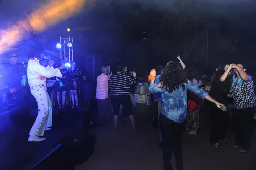 shows4